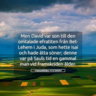 Picture 05 - 1 Samuelsboken 17:12 SV1917 - Men David var son till den omtalade efratiten - Bible Verse Picture