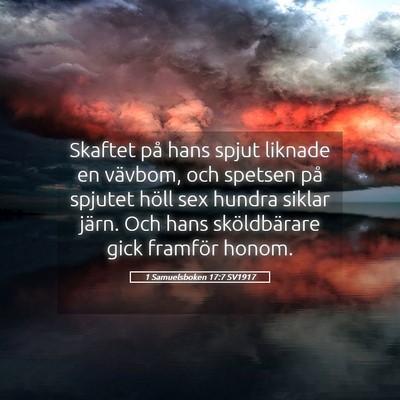 Picture 05 - 1 Samuelsboken 17:7 SV1917 - Skaftet på hans spjut liknade en vävbom, och - Bible Verse Picture