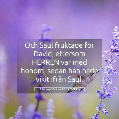 Picture 05 - 1 Samuelsboken 18:12 SV1917 - Och Saul fruktade för David, eftersom HERREN var - Bible Verse Picture