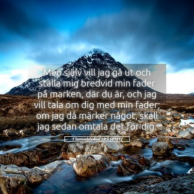 Picture 05 - 1 Samuelsboken 19:3 SV1917 - Men själv vill jag gå ut och ställa mig - Bible Verse Picture