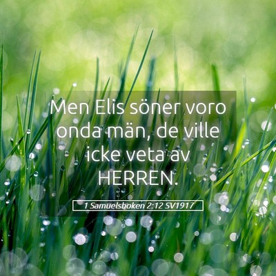Picture 05 - 1 Samuelsboken 2:12 SV1917 - Men Elis söner voro onda män, de ville icke - Bible Verse Picture