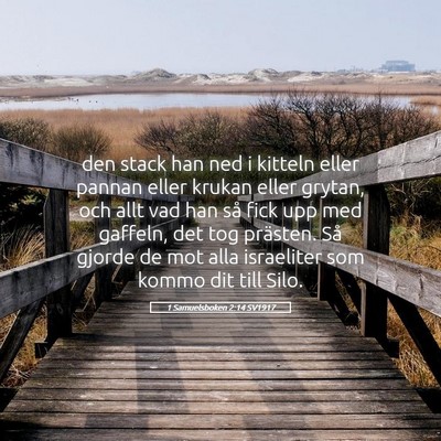 Picture 05 - 1 Samuelsboken 2:14 SV1917 - den stack han ned i kitteln eller pannan eller - Bible Verse Picture