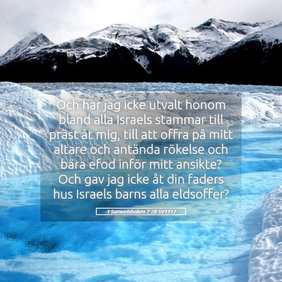 Picture 05 - 1 Samuelsboken 2:28 SV1917 - Och har jag icke utvalt honom bland alla Israels - Bible Verse Picture