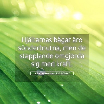 Picture 05 - 1 Samuelsboken 2:4 SV1917 - Hjältarnas bågar äro sönderbrutna, men de - Bible Verse Picture