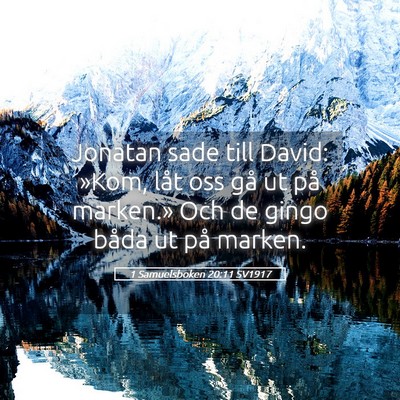 Picture 05 - 1 Samuelsboken 20:11 SV1917 - Jonatan sade till David: »Kom, låt oss gå ut - Bible Verse Picture