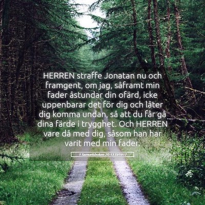 Picture 05 - 1 Samuelsboken 20:13 SV1917 - HERREN straffe Jonatan nu och framgent, om jag, - Bible Verse Picture