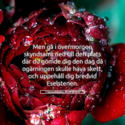 Picture 05 - 1 Samuelsboken 20:19 SV1917 - Men gå i övermorgon skyndsamt ned till den - Bible Verse Picture