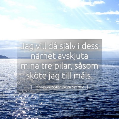 Picture 05 - 1 Samuelsboken 20:20 SV1917 - Jag vill då själv i dess närhet avskjuta mina - Bible Verse Picture