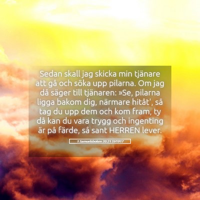 Picture 05 - 1 Samuelsboken 20:21 SV1917 - Sedan skall jag skicka min tjänare att gå och - Bible Verse Picture