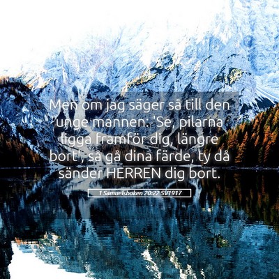 Picture 05 - 1 Samuelsboken 20:22 SV1917 - Men om jag säger så till den unge mannen: 'Se, - Bible Verse Picture