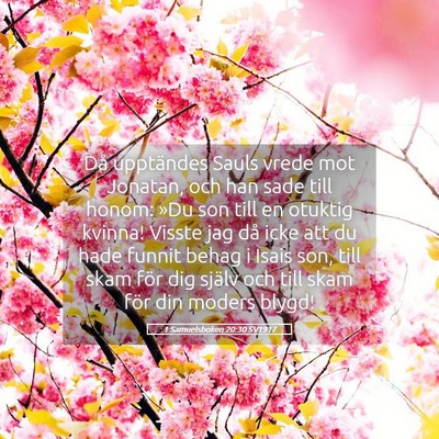 Picture 05 - 1 Samuelsboken 20:30 SV1917 - Då upptändes Sauls vrede mot Jonatan, och han - Bible Verse Picture