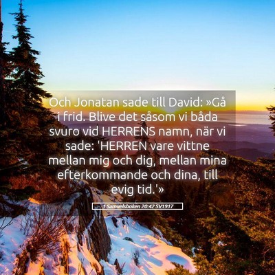 Picture 05 - 1 Samuelsboken 20:42 SV1917 - Och Jonatan sade till David: »Gå i frid. Blive - Bible Verse Picture