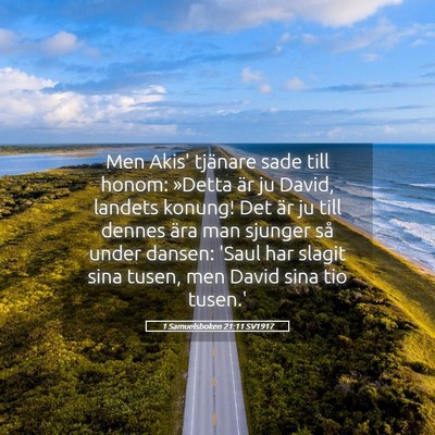 Picture 05 - 1 Samuelsboken 21:11 SV1917 - Men Akis' tjänare sade till honom: »Detta är - Bible Verse Picture
