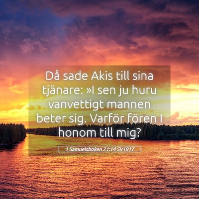 Picture 05 - 1 Samuelsboken 21:14 SV1917 - Då sade Akis till sina tjänare: »I sen ju huru - Bible Verse Picture