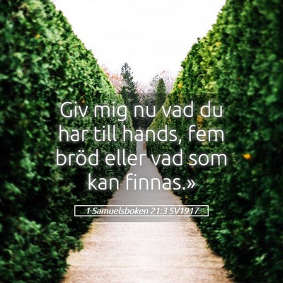 Picture 05 - 1 Samuelsboken 21:3 SV1917 - Giv mig nu vad du har till hands, fem bröd eller - Bible Verse Picture