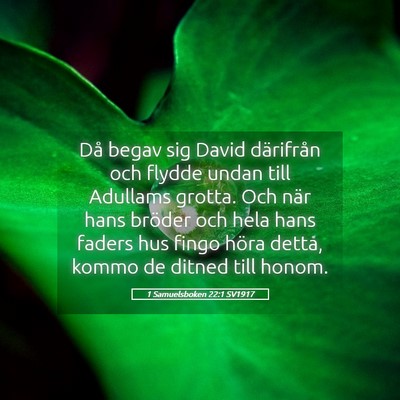 Picture 05 - 1 Samuelsboken 22:1 SV1917 - Då begav sig David därifrån och flydde undan - Bible Verse Picture