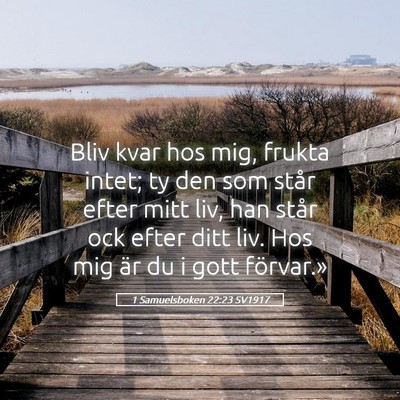 Picture 05 - 1 Samuelsboken 22:23 SV1917 - Bliv kvar hos mig, frukta intet; ty den som står - Bible Verse Picture