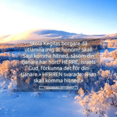 Picture 05 - 1 Samuelsboken 23:11 SV1917 - Skola Kegilas borgare då utlämna mig åt honom? - Bible Verse Picture