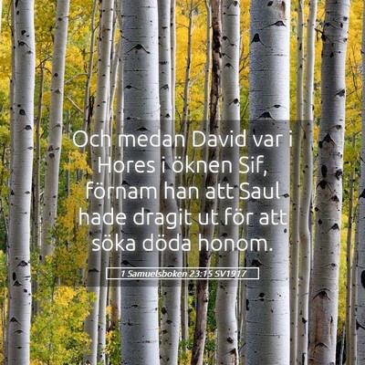 Picture 05 - 1 Samuelsboken 23:15 SV1917 - Och medan David var i Hores i öknen Sif, förnam - Bible Verse Picture