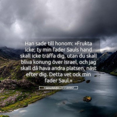Picture 05 - 1 Samuelsboken 23:17 SV1917 - Han sade till honom: »Frukta icke; ty min fader - Bible Verse Picture