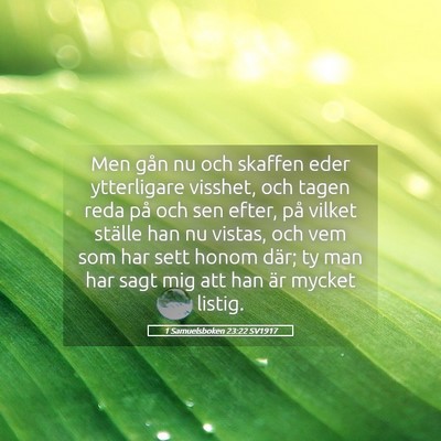 Picture 05 - 1 Samuelsboken 23:22 SV1917 - Men gån nu och skaffen eder ytterligare visshet, - Bible Verse Picture