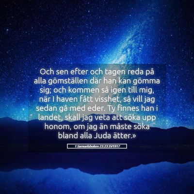 Picture 05 - 1 Samuelsboken 23:23 SV1917 - Och sen efter och tagen reda på alla - Bible Verse Picture