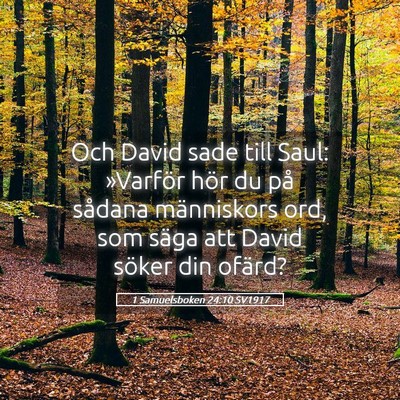 Picture 05 - 1 Samuelsboken 24:10 SV1917 - Och David sade till Saul: »Varför hör du på - Bible Verse Picture