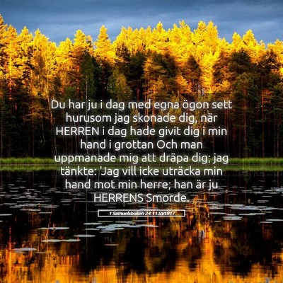 Picture 05 - 1 Samuelsboken 24:11 SV1917 - Du har ju i dag med egna ögon sett hurusom jag - Bible Verse Picture