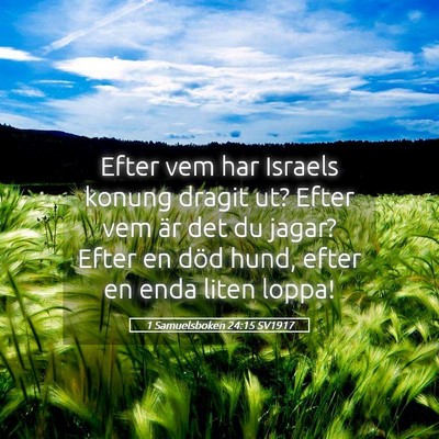 Picture 05 - 1 Samuelsboken 24:15 SV1917 - Efter vem har Israels konung dragit ut? Efter vem - Bible Verse Picture