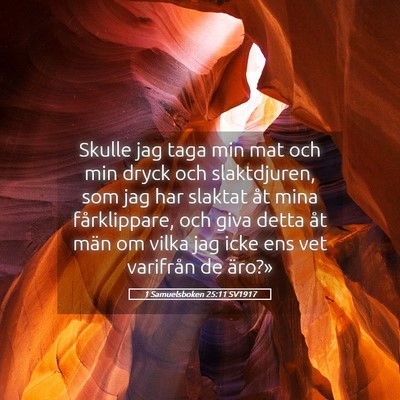 Picture 05 - 1 Samuelsboken 25:11 SV1917 - Skulle jag taga min mat och min dryck och - Bible Verse Picture