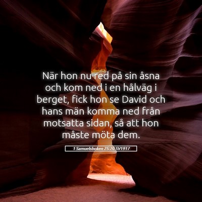 Picture 05 - 1 Samuelsboken 25:20 SV1917 - När hon nu red på sin åsna och kom ned i en - Bible Verse Picture
