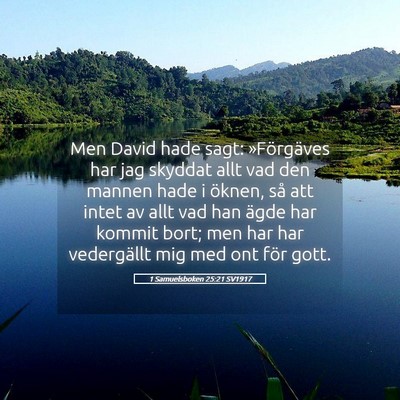 Picture 05 - 1 Samuelsboken 25:21 SV1917 - Men David hade sagt: »Förgäves har jag skyddat - Bible Verse Picture