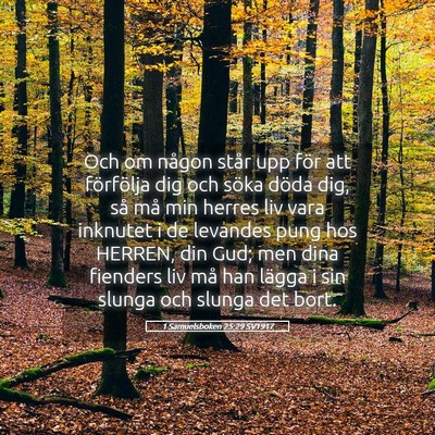 Picture 05 - 1 Samuelsboken 25:29 SV1917 - Och om någon står upp för att förfölja dig - Bible Verse Picture