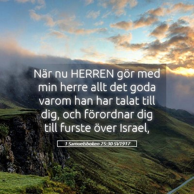 Picture 05 - 1 Samuelsboken 25:30 SV1917 - När nu HERREN gör med min herre allt det goda - Bible Verse Picture