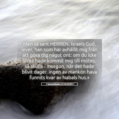 Picture 05 - 1 Samuelsboken 25:34 SV1917 - Men så sant HERREN, Israels Gud, lever, han som - Bible Verse Picture