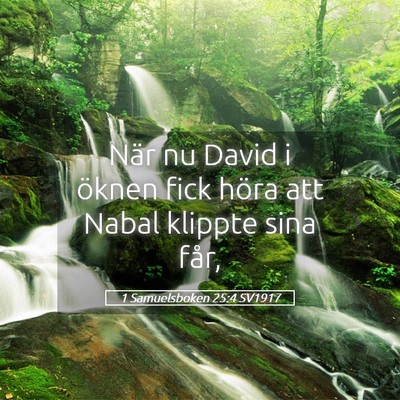 Picture 05 - 1 Samuelsboken 25:4 SV1917 - När nu David i öknen fick höra att Nabal - Bible Verse Picture