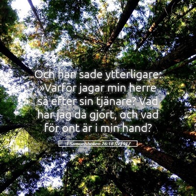 Picture 05 - 1 Samuelsboken 26:18 SV1917 - Och han sade ytterligare: »Varför jagar min - Bible Verse Picture