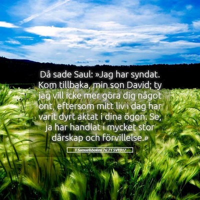 Picture 05 - 1 Samuelsboken 26:21 SV1917 - Då sade Saul: »Jag har syndat. Kom tillbaka, - Bible Verse Picture