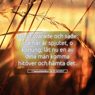 Picture 05 - 1 Samuelsboken 26:22 SV1917 - David svarade och sade: »Se här är spjutet, o - Bible Verse Picture
