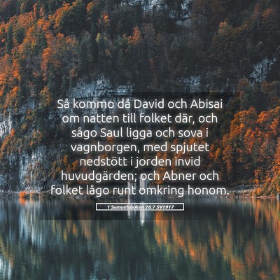 Picture 05 - 1 Samuelsboken 26:7 SV1917 - Så kommo då David och Abisai om natten till - Bible Verse Picture