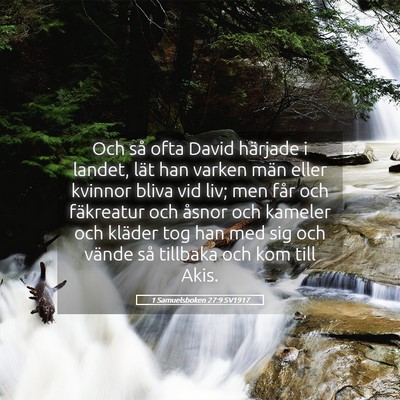 Picture 05 - 1 Samuelsboken 27:9 SV1917 - Och så ofta David härjade i landet, lät han - Bible Verse Picture