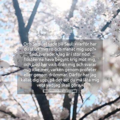 Picture 05 - 1 Samuelsboken 28:15 SV1917 - Och Samuel sade till Saul: »Varför har du - Bible Verse Picture