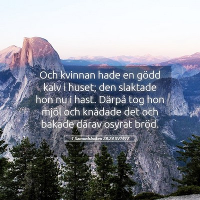 Picture 05 - 1 Samuelsboken 28:24 SV1917 - Och kvinnan hade en gödd kalv i huset; den - Bible Verse Picture