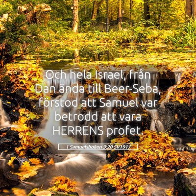Picture 05 - 1 Samuelsboken 3:20 SV1917 - Och hela Israel, från Dan ända till Beer-Seba, - Bible Verse Picture