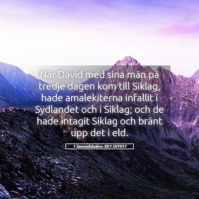 Picture 05 - 1 Samuelsboken 30:1 SV1917 - När David med sina män på tredje dagen kom - Bible Verse Picture