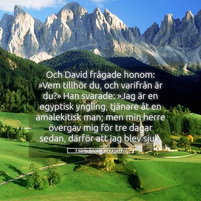 Picture 05 - 1 Samuelsboken 30:13 SV1917 - Och David frågade honom: »Vem tillhör du, och - Bible Verse Picture