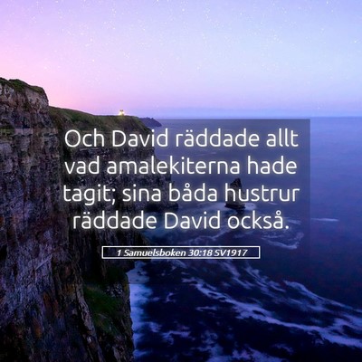 Picture 05 - 1 Samuelsboken 30:18 SV1917 - Och David räddade allt vad amalekiterna hade - Bible Verse Picture