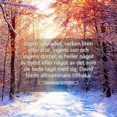 Picture 05 - 1 Samuelsboken 30:19 SV1917 - Ingen saknades, varken liten eller stor, ingens - Bible Verse Picture