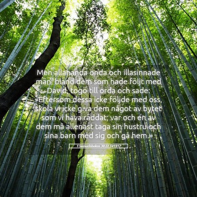 Picture 05 - 1 Samuelsboken 30:22 SV1917 - Men allahanda onda och illasinnade män, bland - Bible Verse Picture