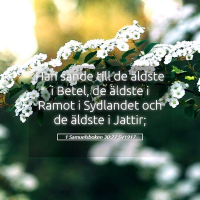 Picture 05 - 1 Samuelsboken 30:27 SV1917 - Han sände till de äldste i Betel, de äldste i - Bible Verse Picture
